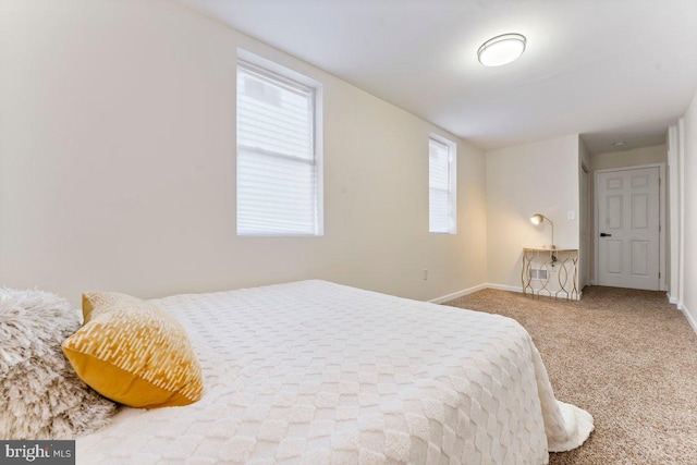 bedroom featuring carpet