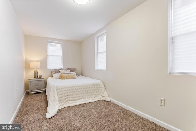 bedroom featuring carpet flooring