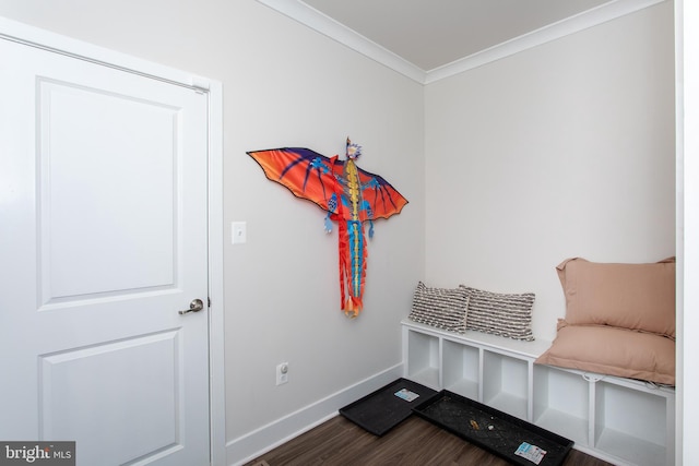 mudroom featuring crown molding and wood-type flooring