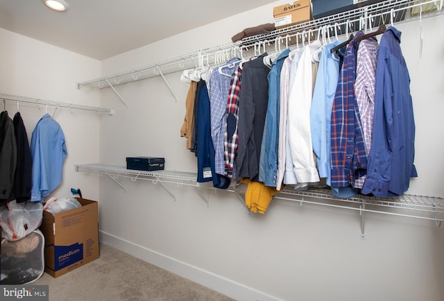 spacious closet featuring carpet flooring