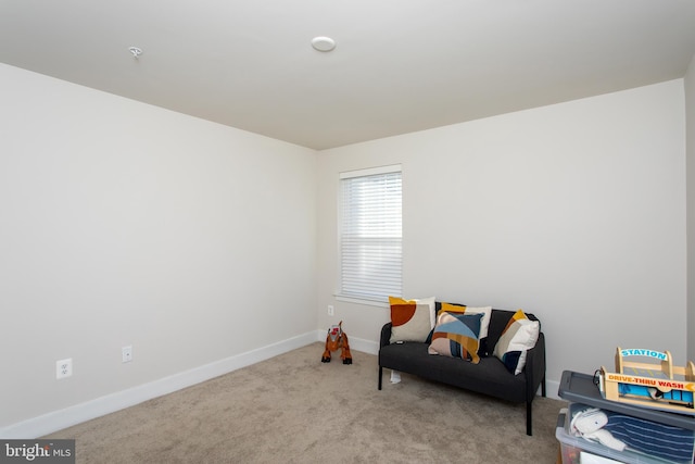 sitting room with light carpet