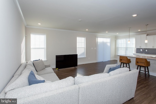 living room with ornamental molding and dark hardwood / wood-style flooring