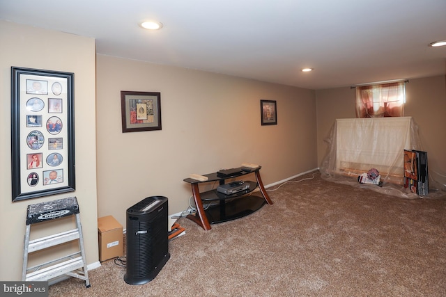 miscellaneous room with carpet floors