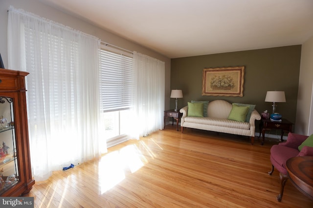 sitting room featuring light wood-type flooring