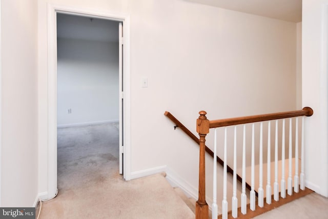 stairs with carpet flooring