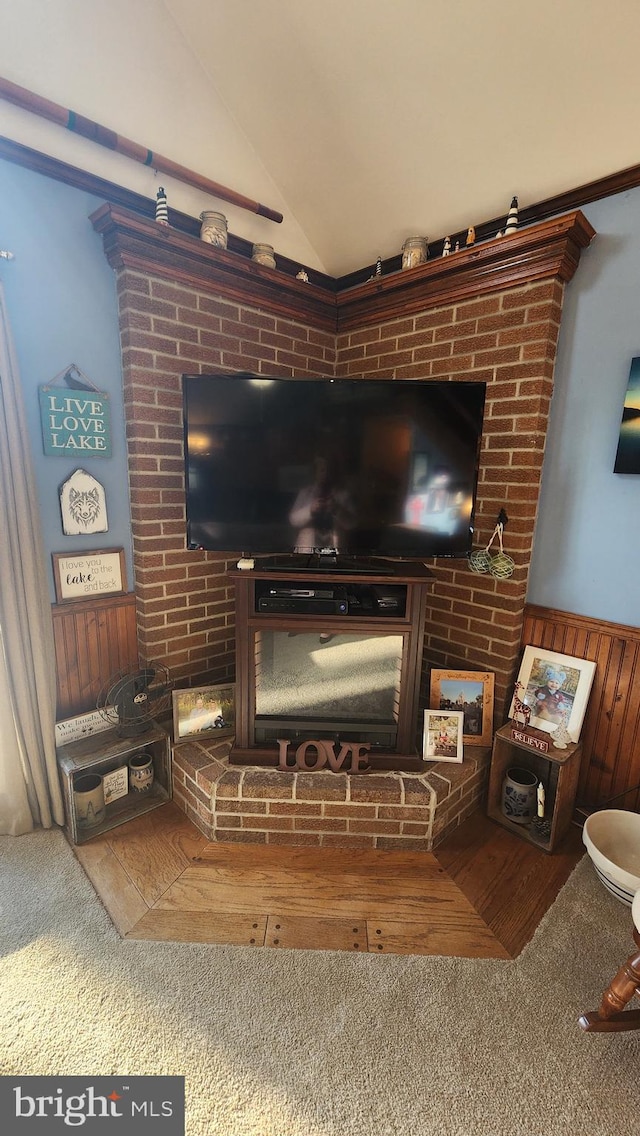 details featuring carpet flooring and wood walls