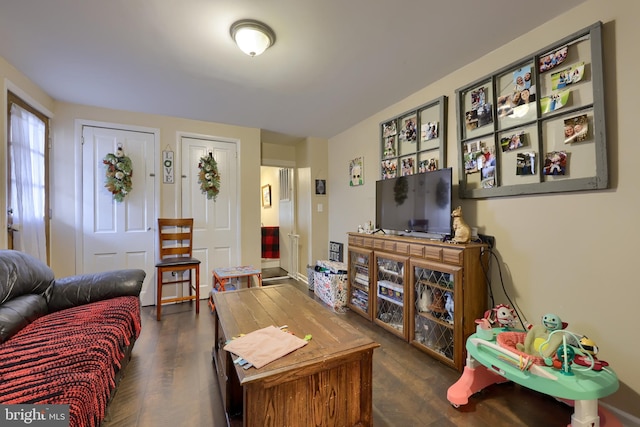 living room featuring dark hardwood / wood-style flooring