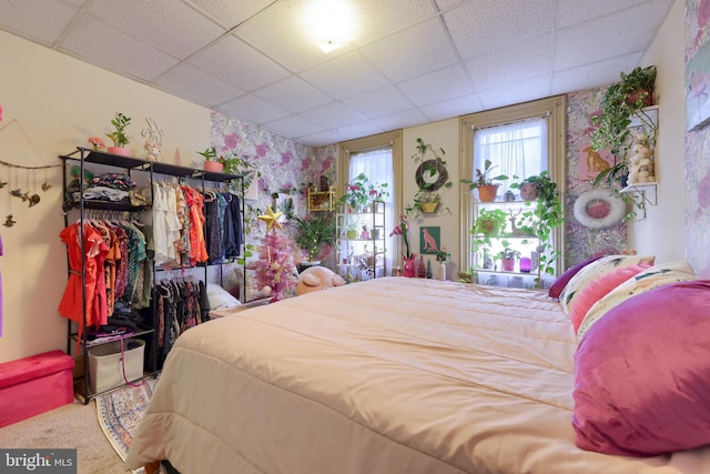 bedroom with a paneled ceiling and carpet floors