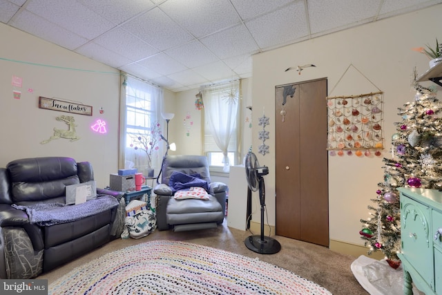 living room with a drop ceiling and carpet floors