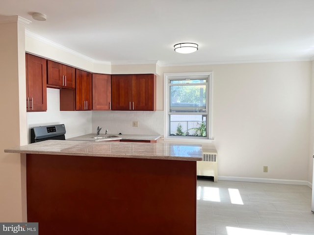 kitchen featuring tasteful backsplash, radiator, ornamental molding, sink, and range