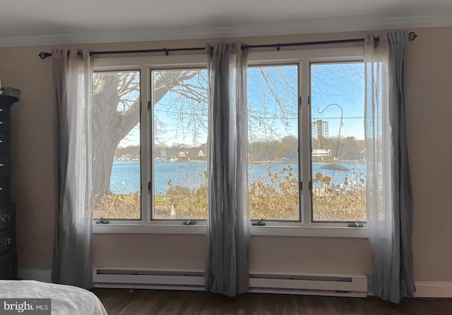 doorway to outside with a baseboard heating unit, a water view, dark hardwood / wood-style floors, and crown molding