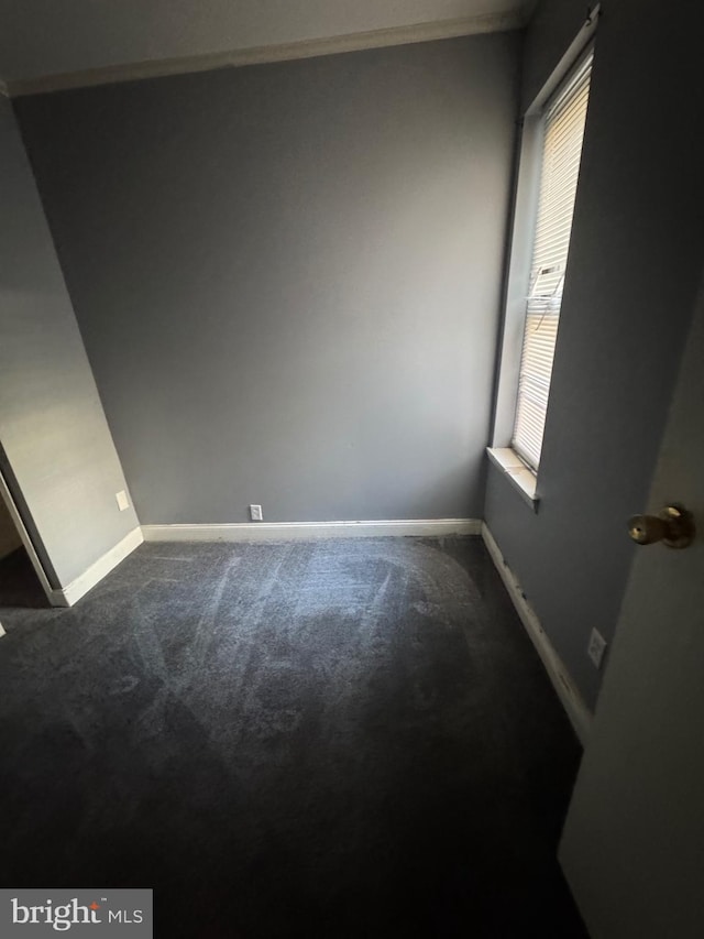 empty room featuring carpet flooring and plenty of natural light