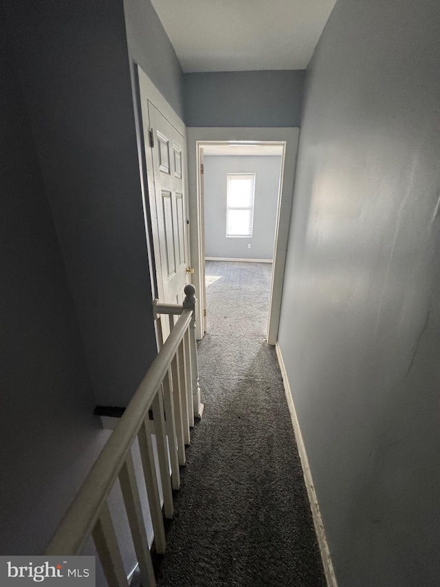 corridor featuring carpet floors