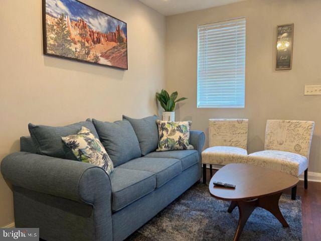 living room featuring dark hardwood / wood-style flooring