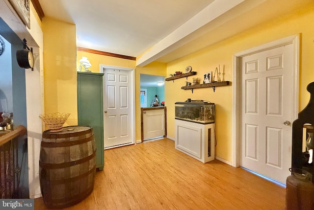 interior space featuring light hardwood / wood-style floors and ornamental molding