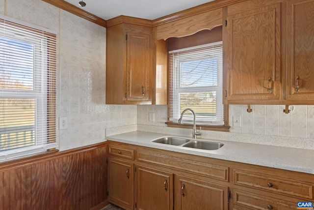 kitchen featuring backsplash and sink