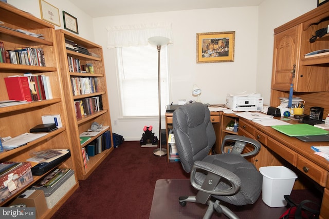 view of carpeted office space