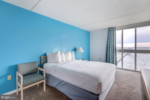 carpeted bedroom featuring a water view and a textured ceiling