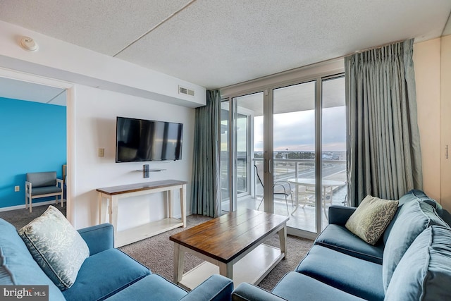 living room with carpet and a textured ceiling