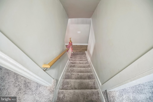 stairs featuring carpet floors