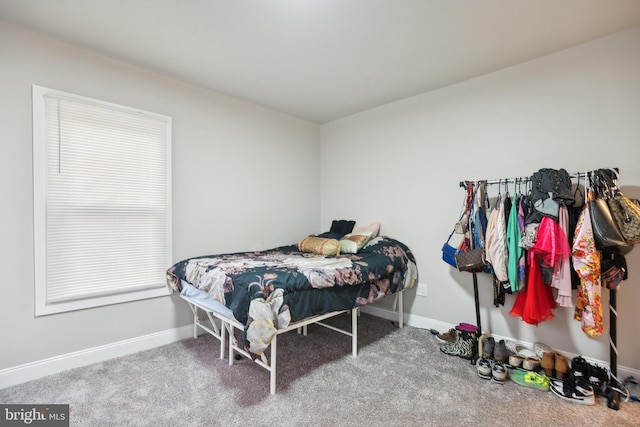 bedroom featuring carpet flooring