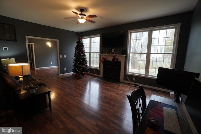 living room with ceiling fan and dark hardwood / wood-style flooring