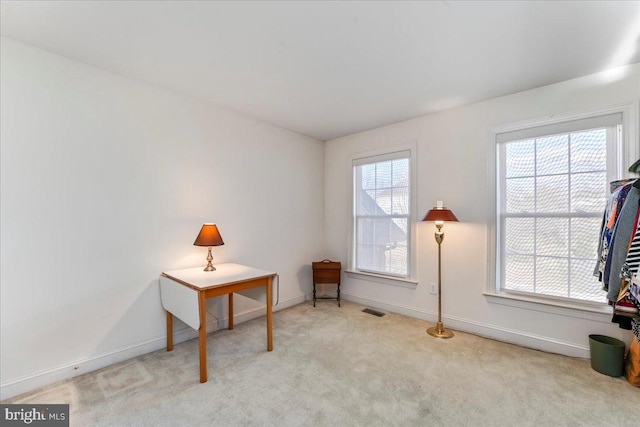 miscellaneous room with light colored carpet