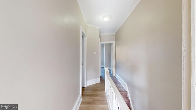 hallway featuring crown molding and light wood-type flooring