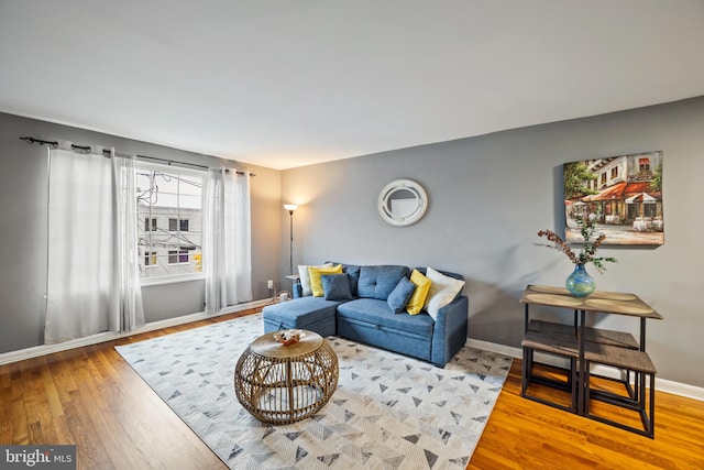 living room with hardwood / wood-style flooring