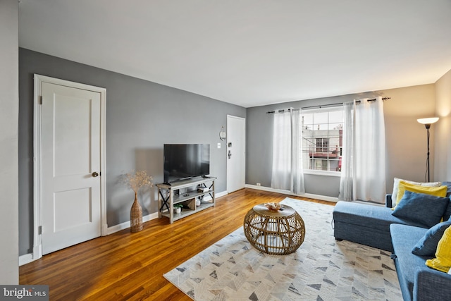 living room featuring wood-type flooring