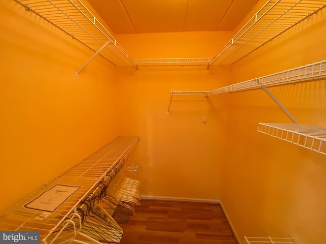 spacious closet featuring hardwood / wood-style flooring