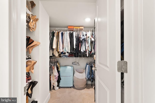 walk in closet featuring carpet floors