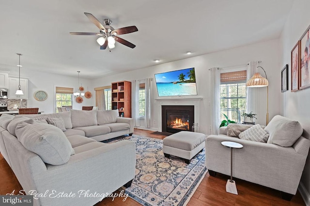 living room featuring ceiling fan, plenty of natural light, and dark hardwood / wood-style floors