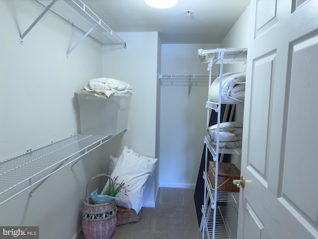 view of spacious closet