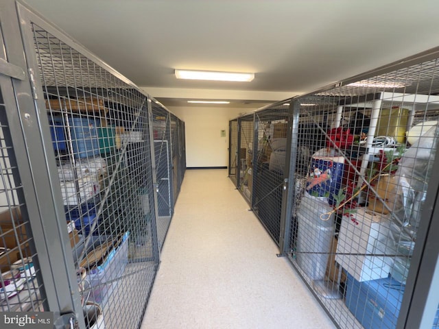 12251 Roundwood Rd Unit 601, Lutherville Timonium, MD 21093 - view of storage