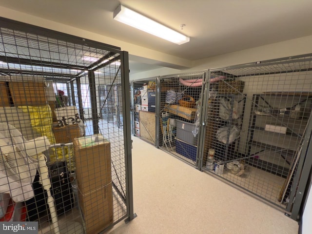12251 Roundwood Rd Unit 601, Lutherville Timonium, MD 21093 - view of storage room