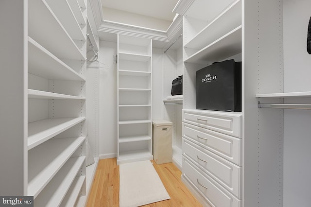 spacious closet with hardwood / wood-style flooring