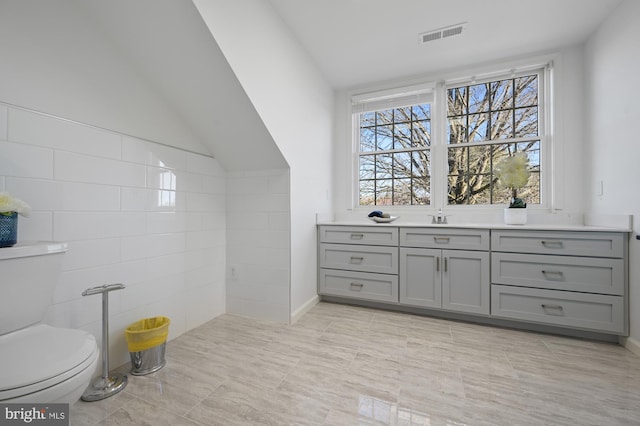 bathroom with toilet, vaulted ceiling, and sink