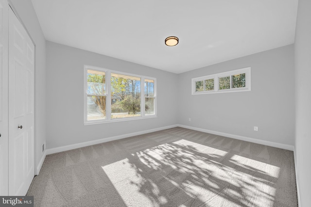 interior space featuring carpet floors and a closet