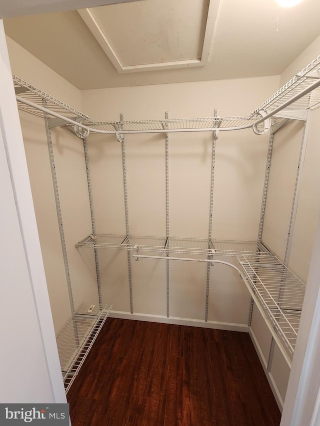 walk in closet featuring dark hardwood / wood-style flooring