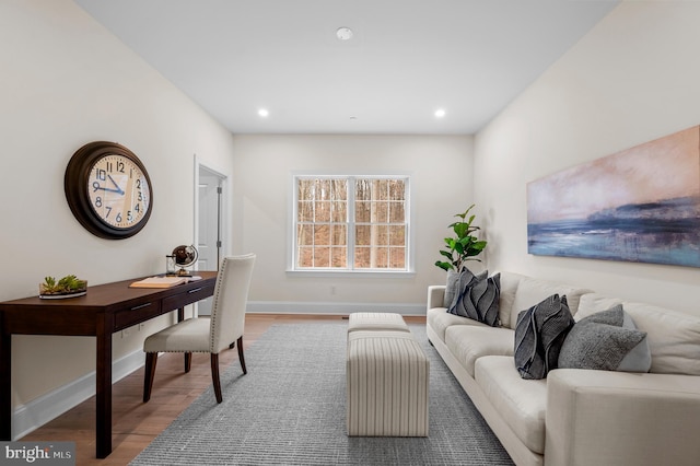 living room featuring hardwood / wood-style flooring