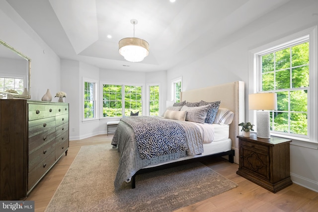 bedroom featuring a tray ceiling, multiple windows, and light hardwood / wood-style floors