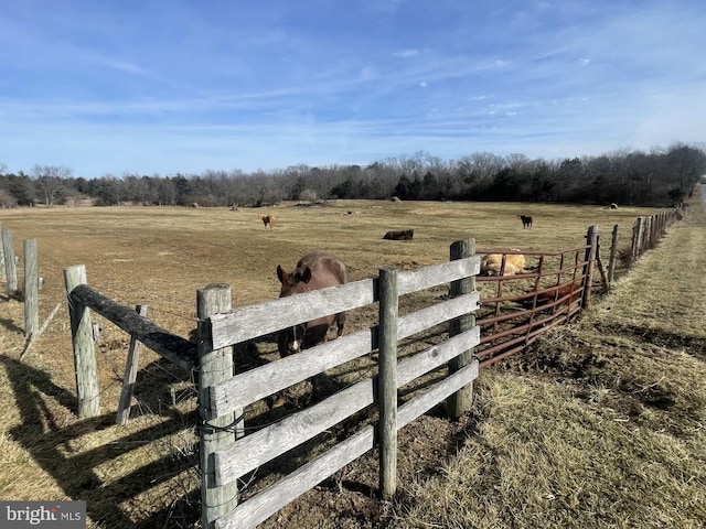 view of yard with a rural view