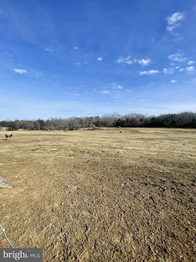 view of nature with a rural view