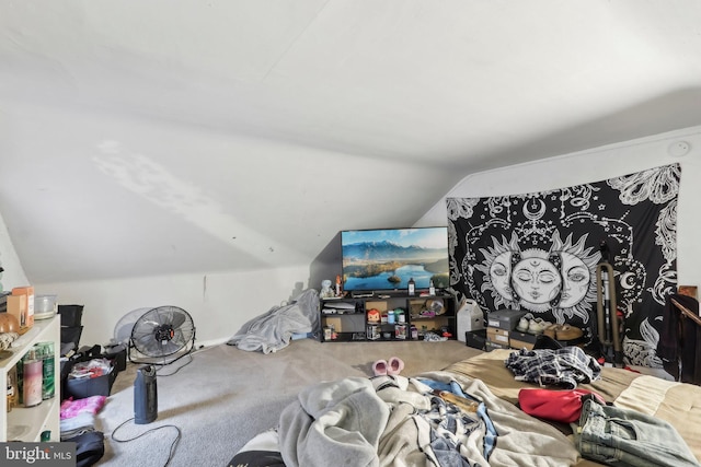 bonus room with carpet and vaulted ceiling