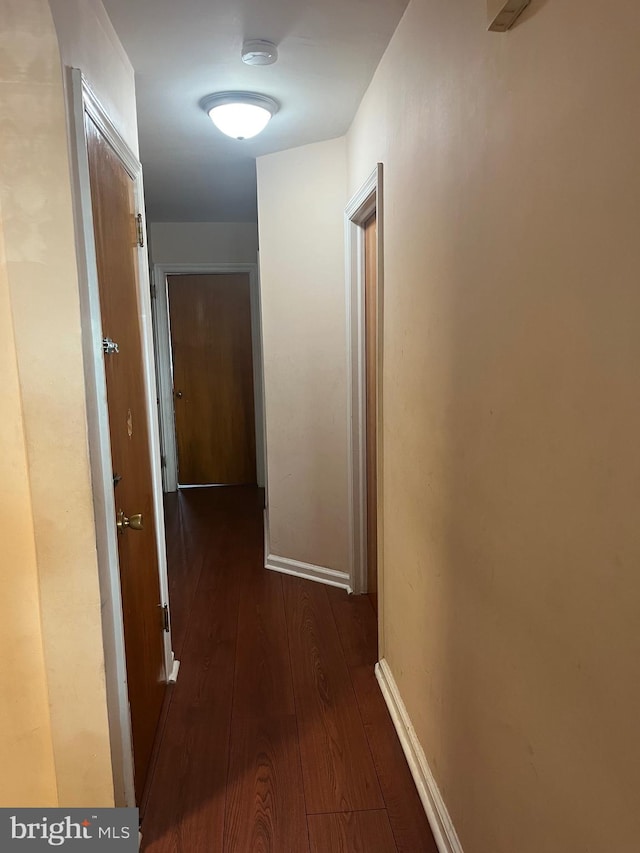 corridor with dark hardwood / wood-style flooring