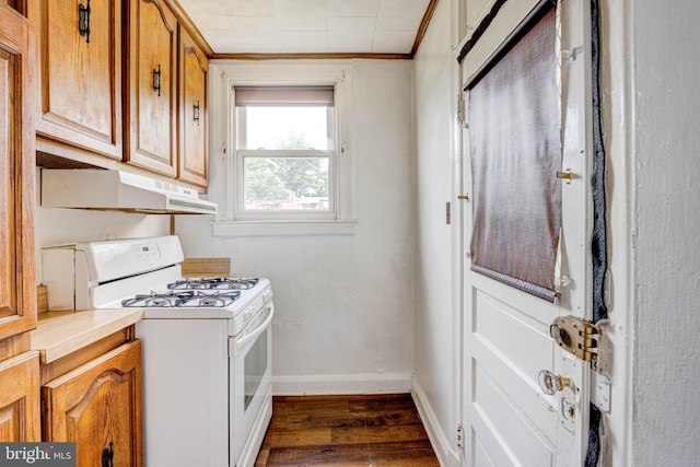 washroom with crown molding and dark hardwood / wood-style flooring