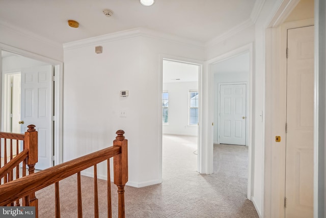 corridor with light carpet and ornamental molding