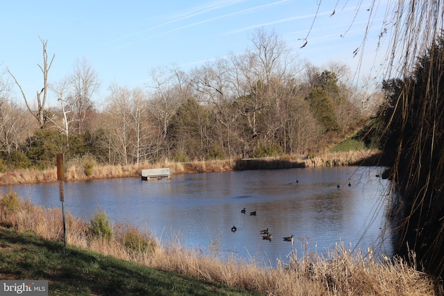 property view of water