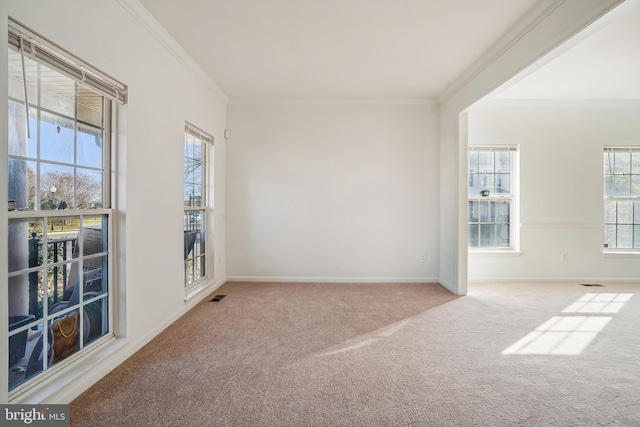 spare room featuring carpet flooring and crown molding